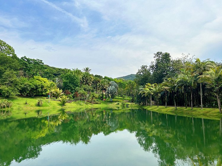 Institut Inhotim - Brumadinho, Brésil 2