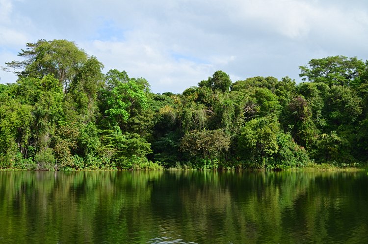 Gamboa et le lac Gatun 3