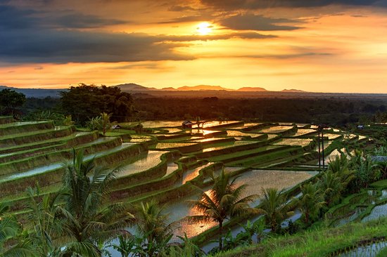 Jatiluwih (Bali)
