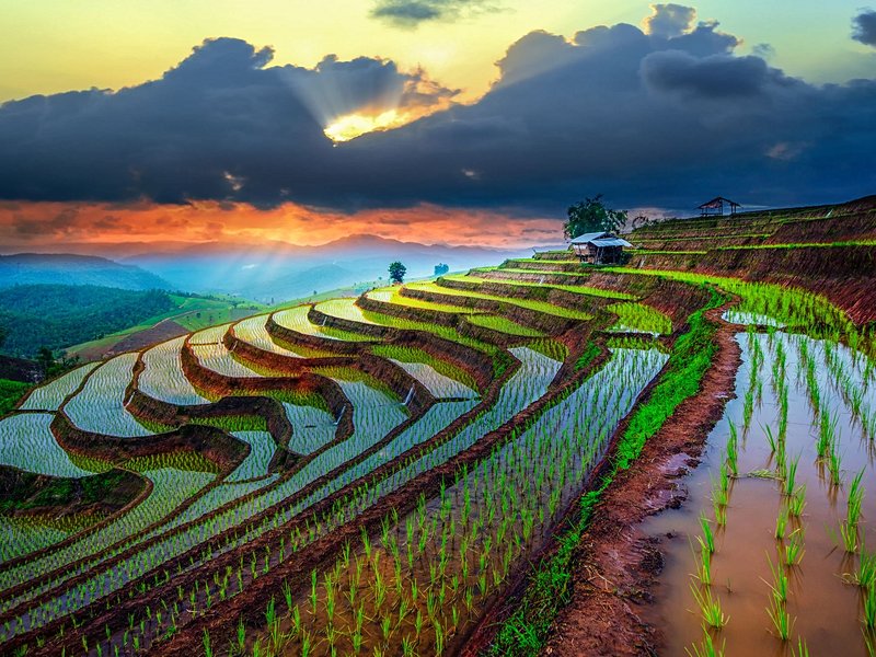 Chiang Mai