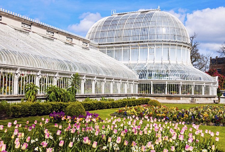 Les serres fantastiques du Botanic Belfast Gardens