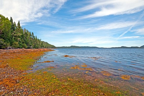 Parc national Terra Nova