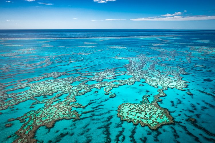 Grande Barrière de Corail en Australie 2