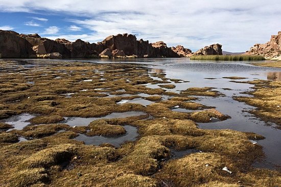 Tariquía Flora and Fauna National Reserve