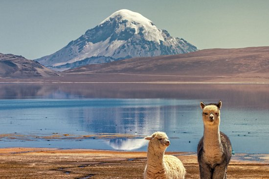 Parc national de Sajama