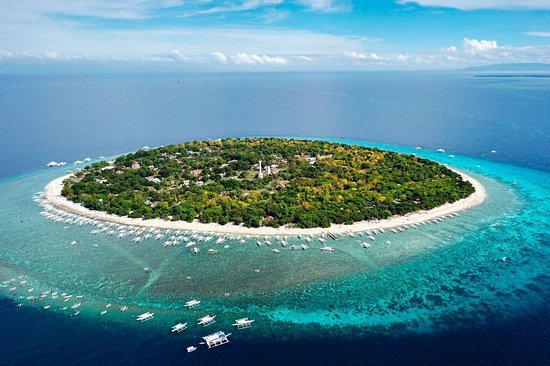 Nager avec les tortues autour de Balicasag
