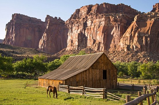 Capitol Reef
