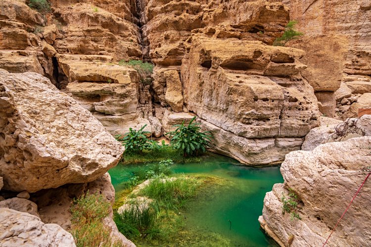 Le Wadi Shab et les autres wadis omanais 4