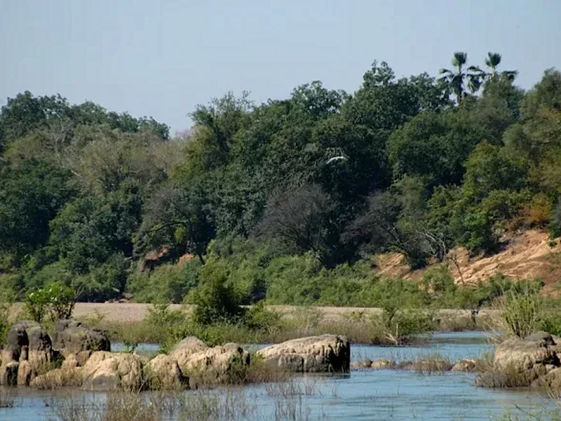 Le parc national du Badiar