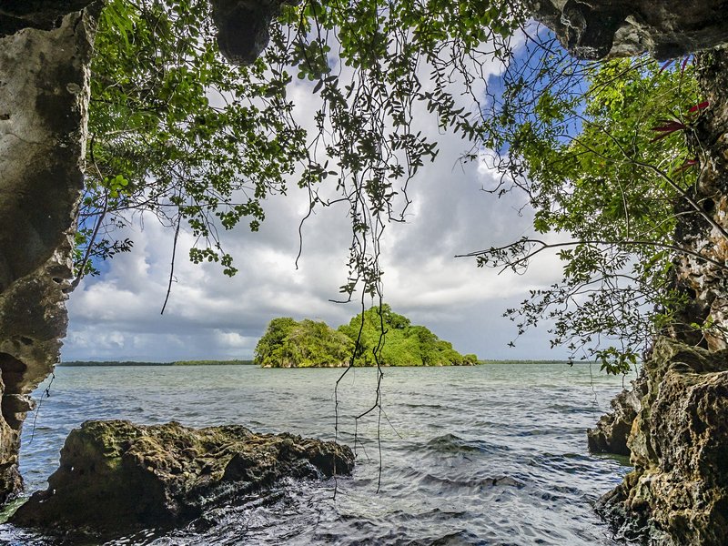 Samana