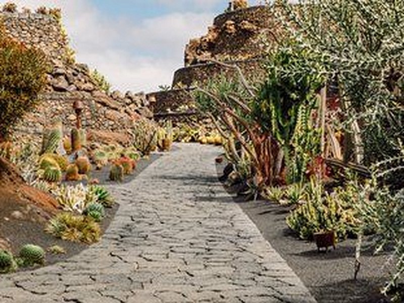 Jardin des Cactus