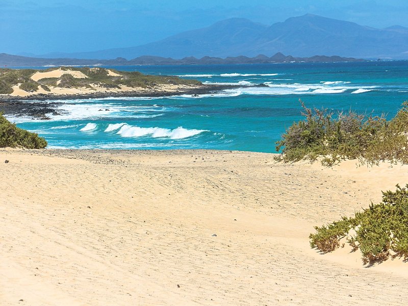Les plages du parc des dunes de Corralejo