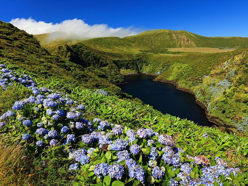 L'île de Flores