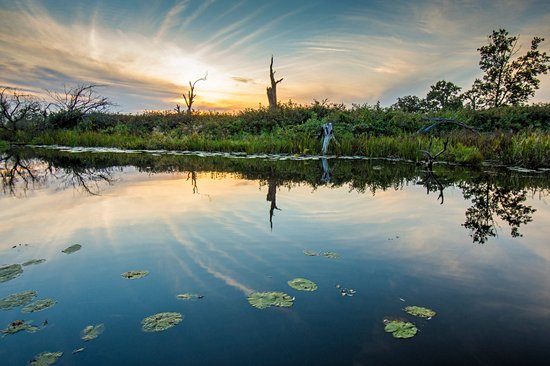 Parc national de la Biebrza