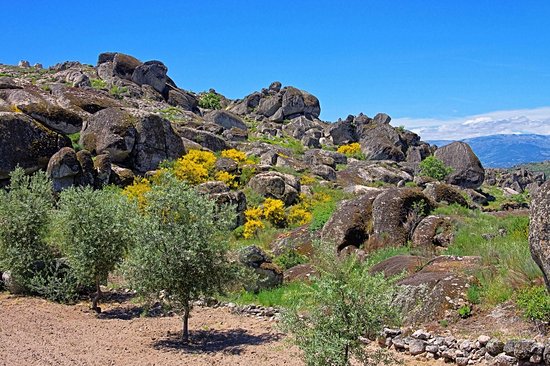 Parc naturel de Serra da Estrela