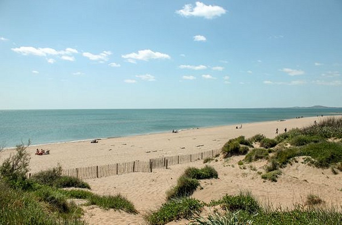 Se prélasser sur les plages