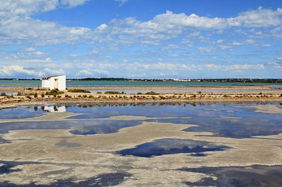 Réserve naturelle de Ses Salines