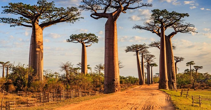 Madagascar