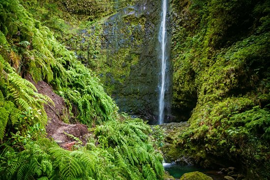 Caldeirão Verde
