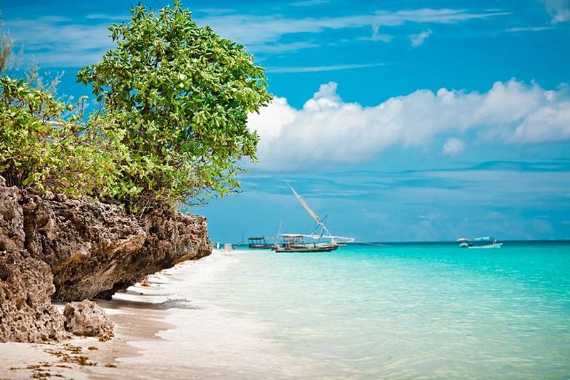 plage Les plages de Zanzibar