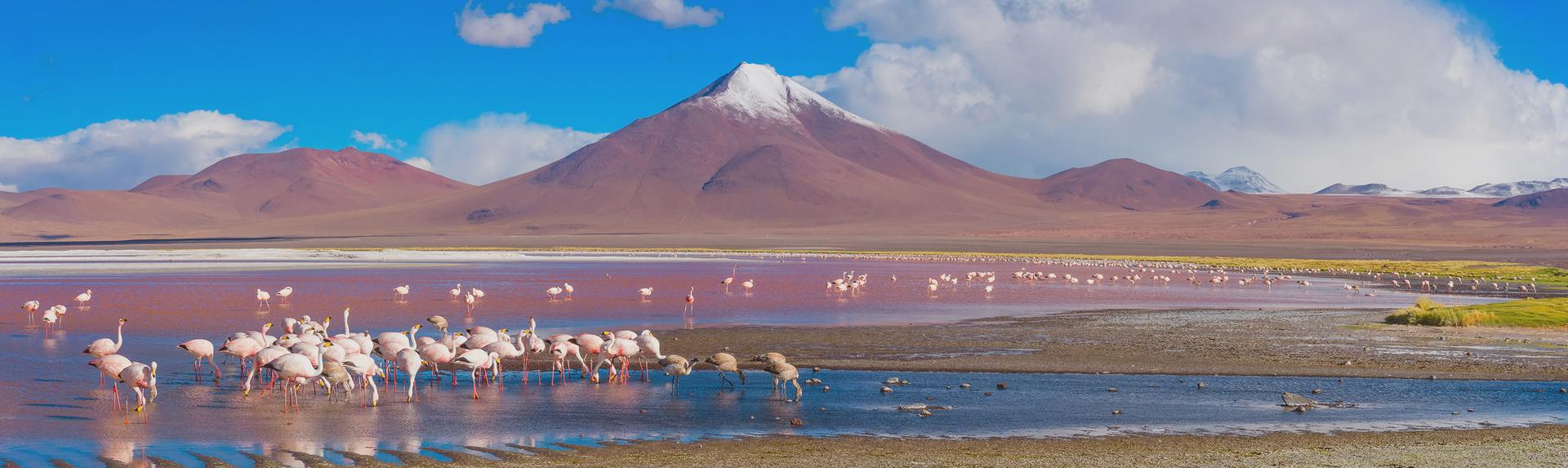 Bolivie