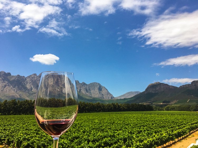 Les Vignobles