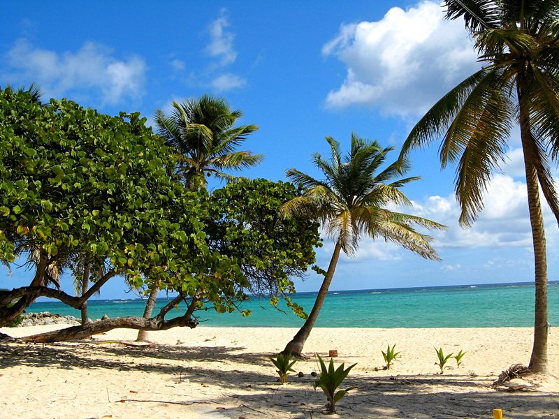 Les plages de Marie-Galante