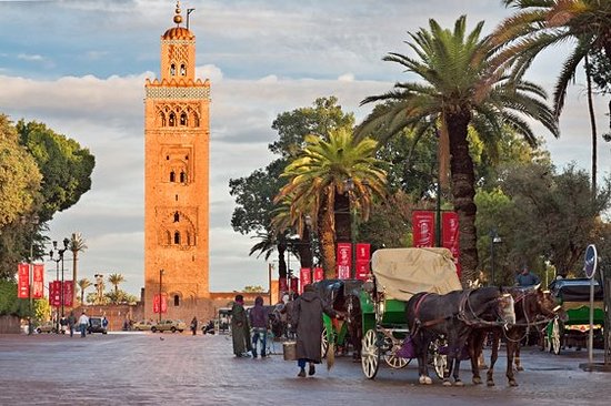 Découvrir Marrakech en calèche