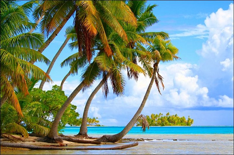 plage Rangiroa (archipel des Tuamotu)