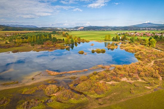 Lac intermittent de Cerknica