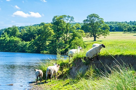 Derbyshire
