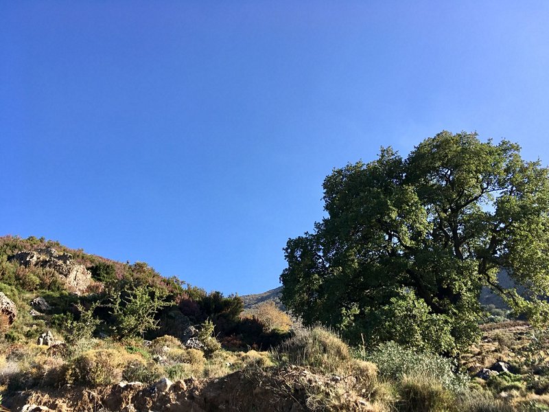 Gorges d'Agia Irini