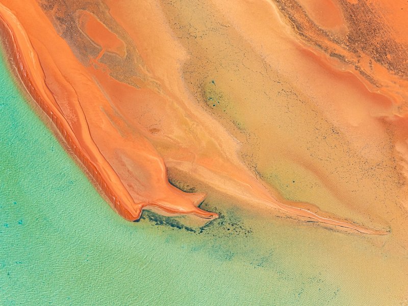 Baie Shark