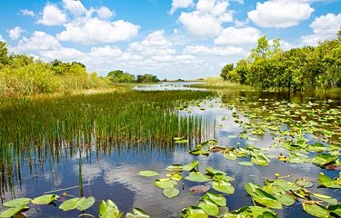Le parc national des Everglades