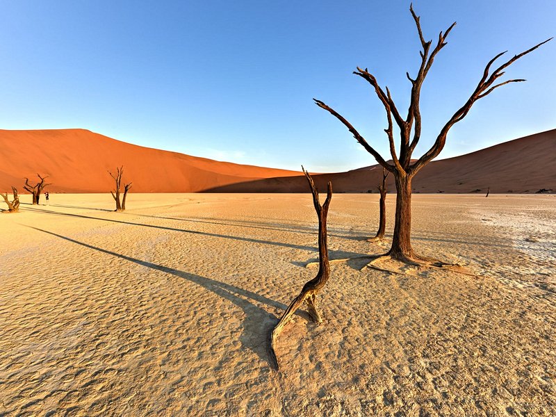 Deadvlei