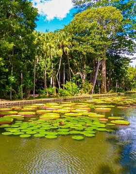 Les plus beaux lieux de l' Ile Maurice