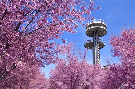 Flushing Meadows