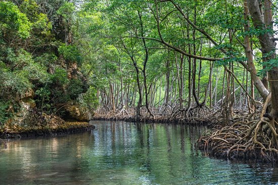 Parc national Los Haitises