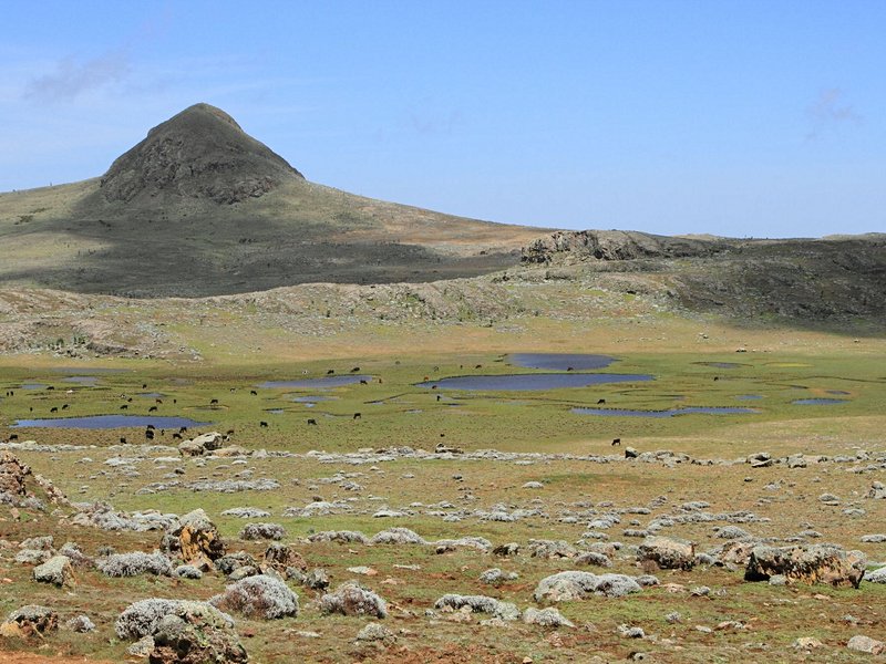 Parc national du Mont Balé