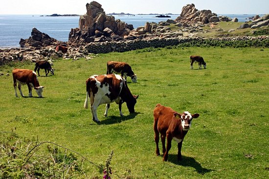 Iles Scilly