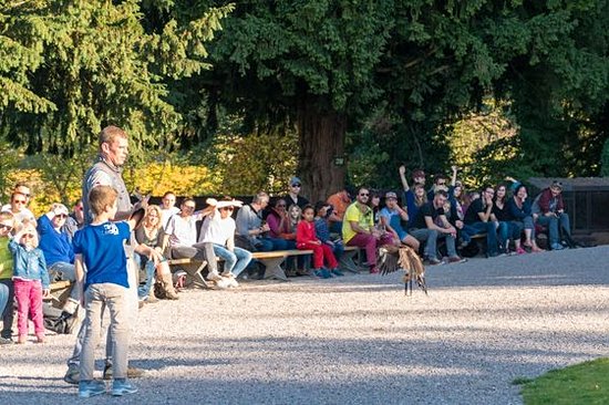 Observer les animaux dans de beaux parcs animaliers