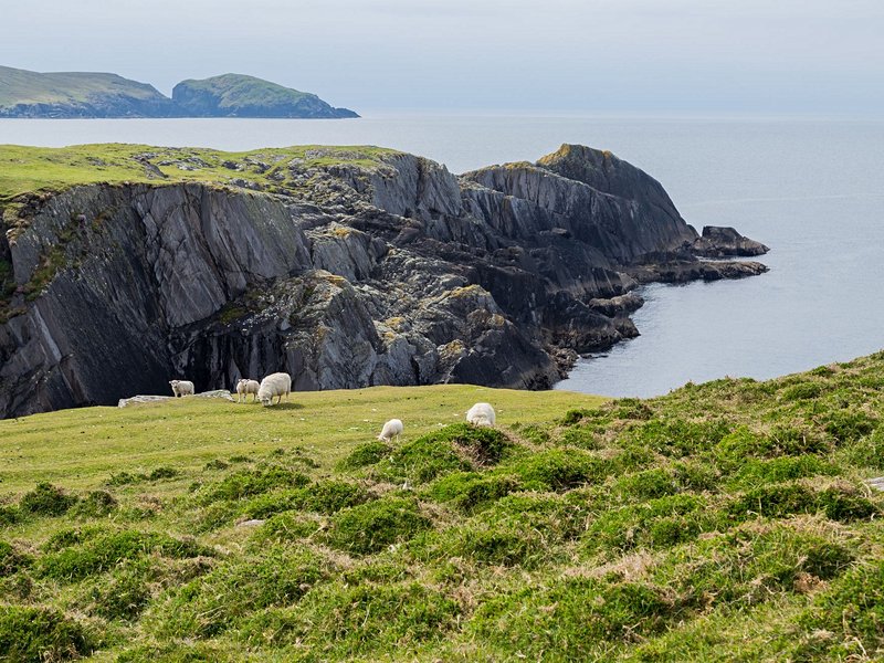 Dursey Island et son cable car