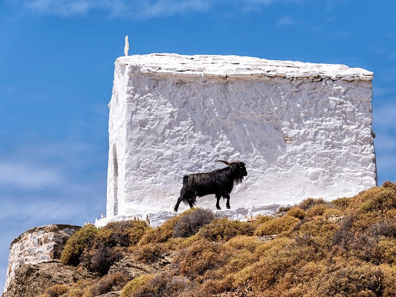 Le village de Molos et le cap Pouria
