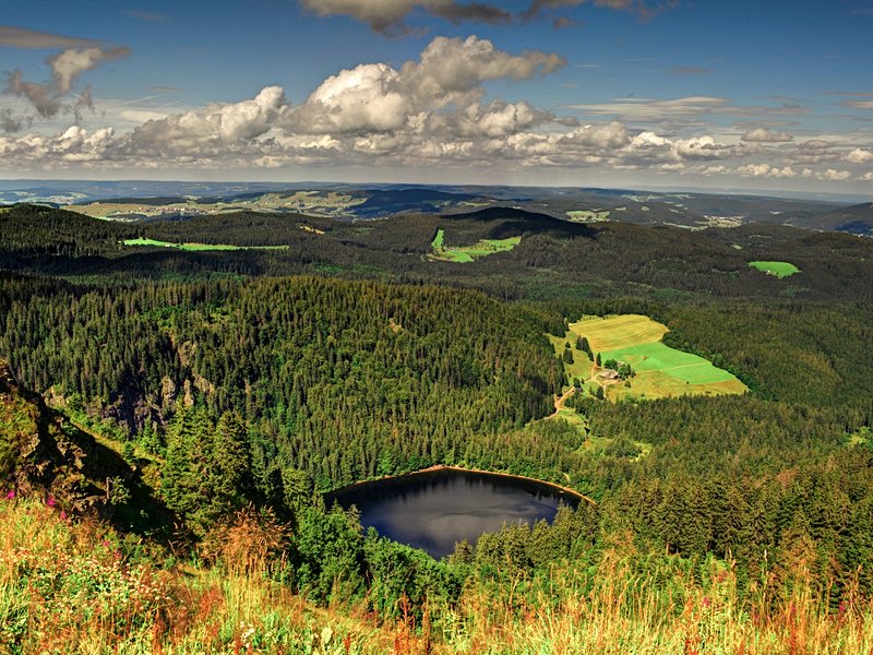 La rando panoramique : le Feldberg