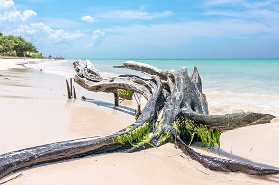 Cayo Jutías