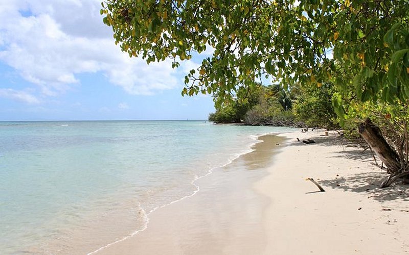 plage L’Anse Caritan