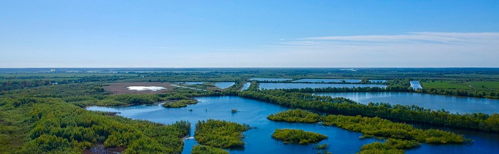 Le delta du Niémen