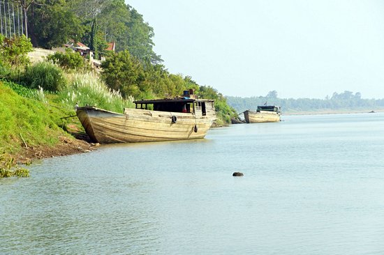 Koh Trong