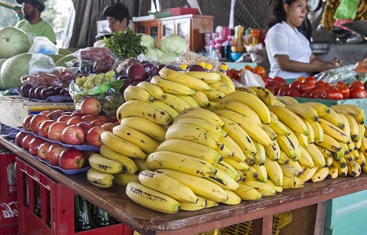 Marché de San Ignacio