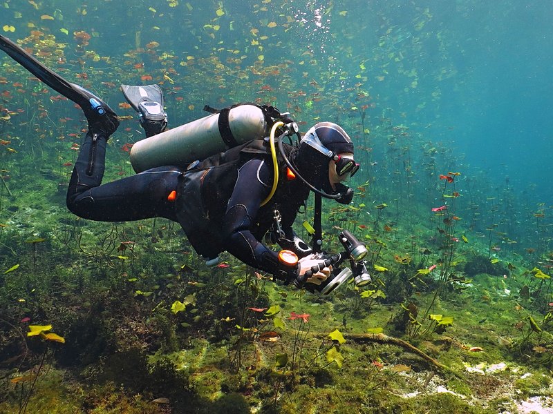 Faire de la plongée sur le récif de la Riviera Maya